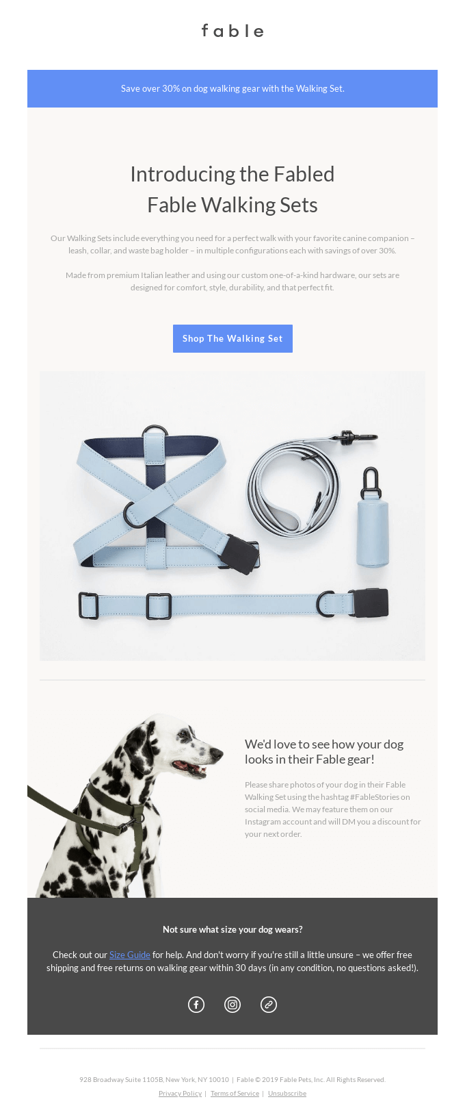 $165 dog walking set you can't live without