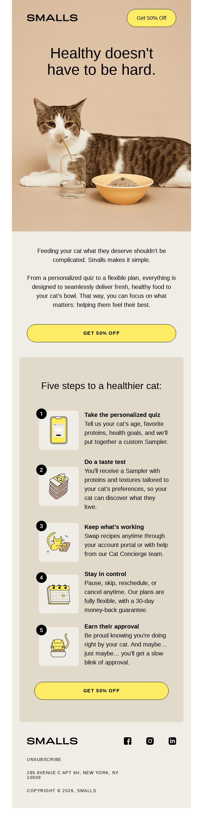 5 steps to a healthier cat