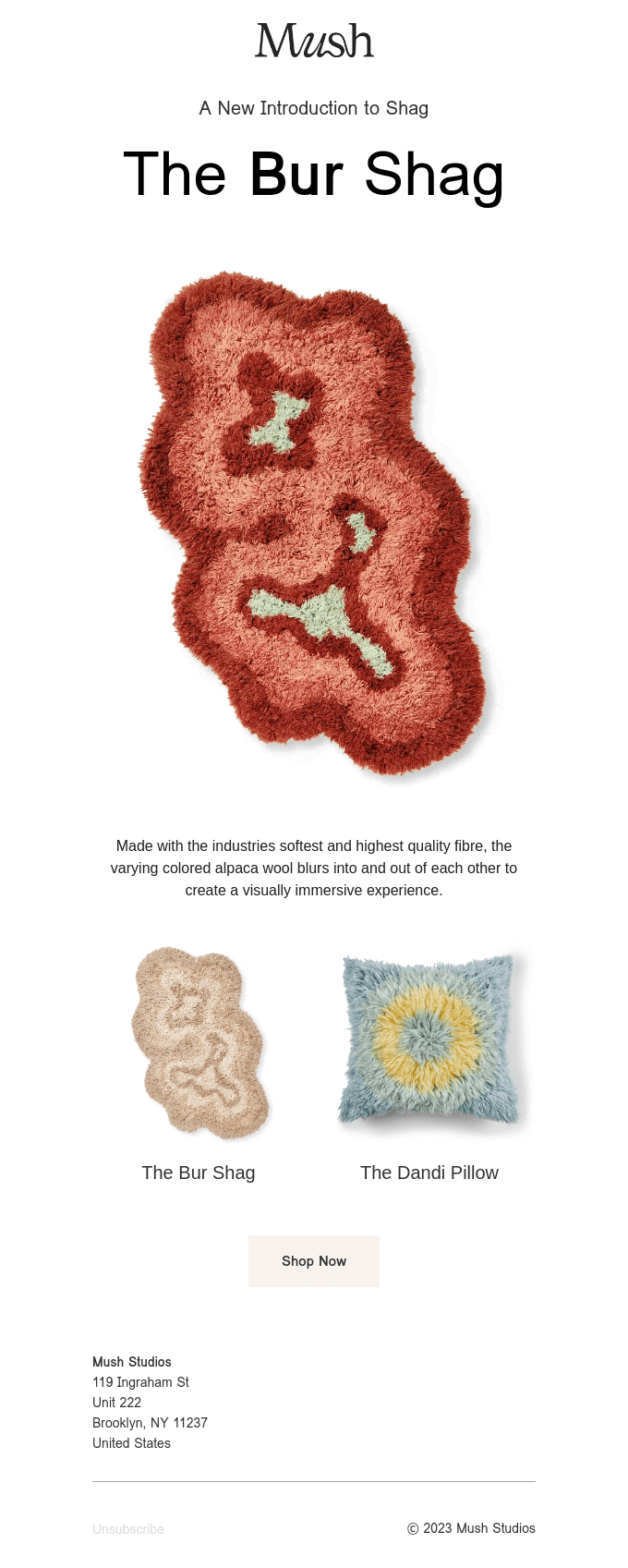 A New Introduction to Shag - The Bur Shag