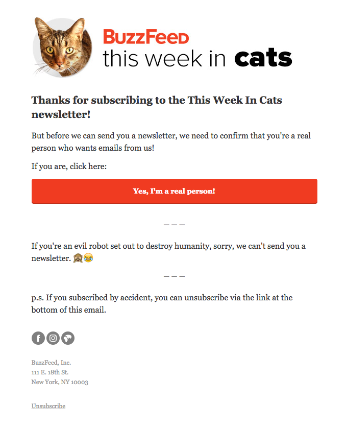 Confirm your This Week In Cats subscription now!