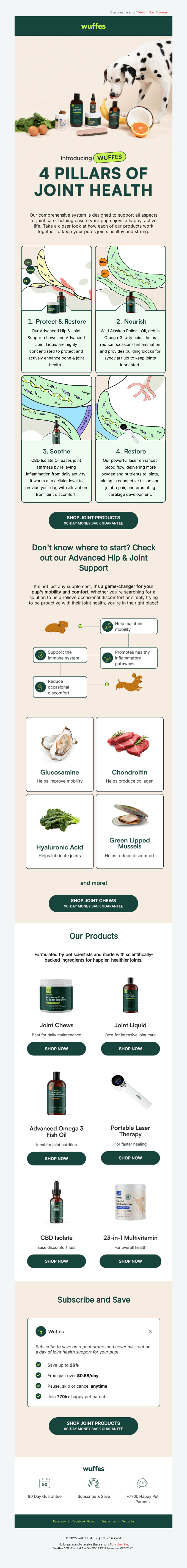 Discover our 4 Pillars of Joint Health