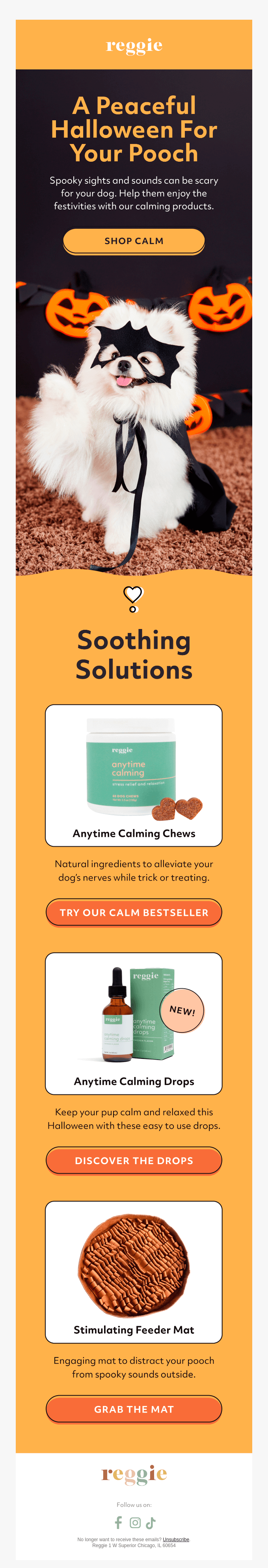 Don’t Let Halloween Spook Your Pup 😱