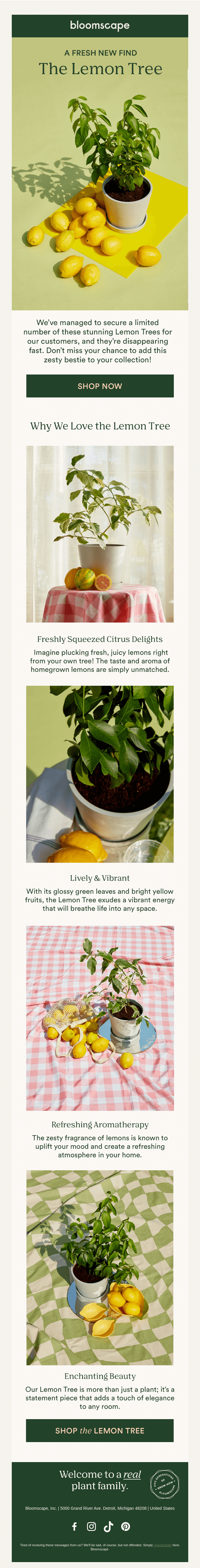 Don't let this summer find slip away...