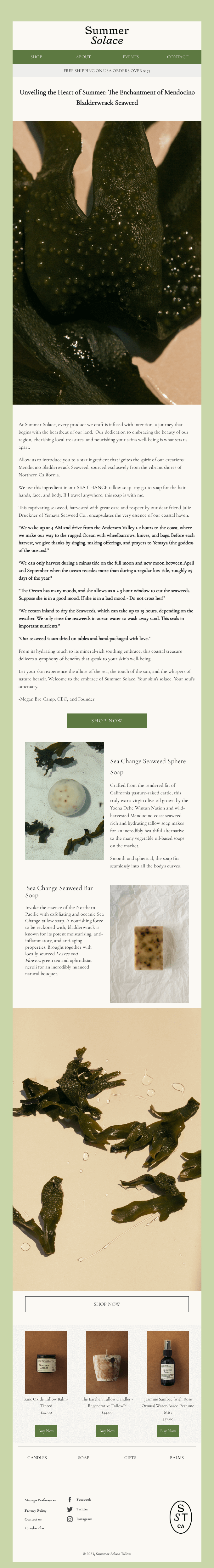 Embrace the Wave of Beauty: Mendocino Bladderwrack Seaweed's Skin Benefits