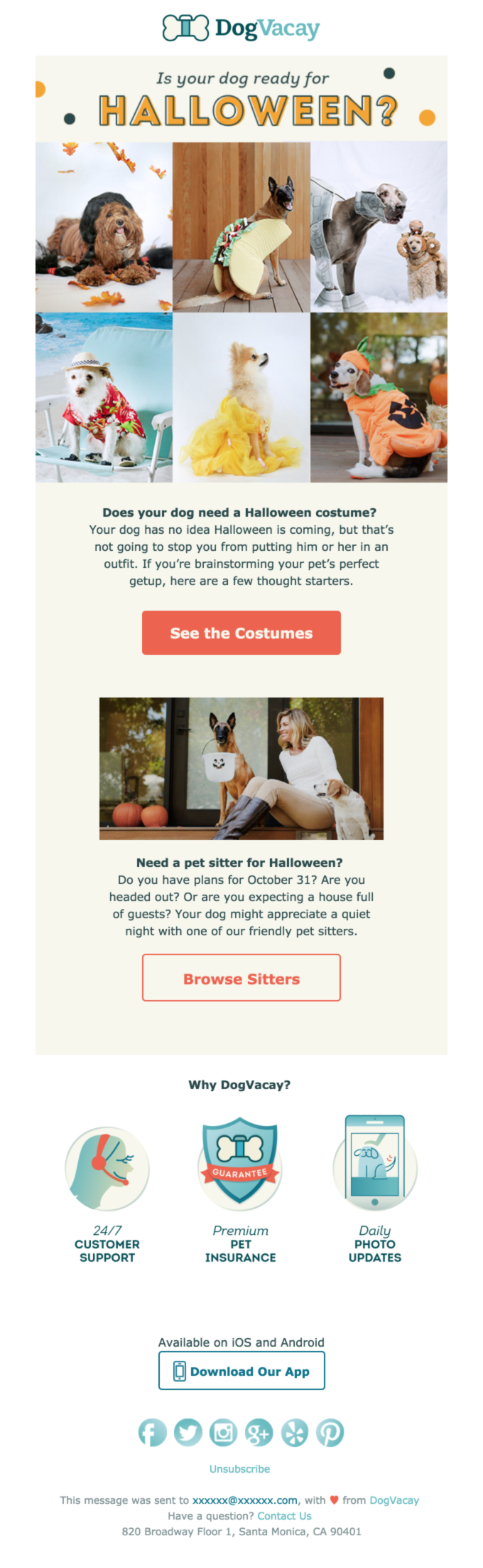 🎃 Halloween costumes for dogs