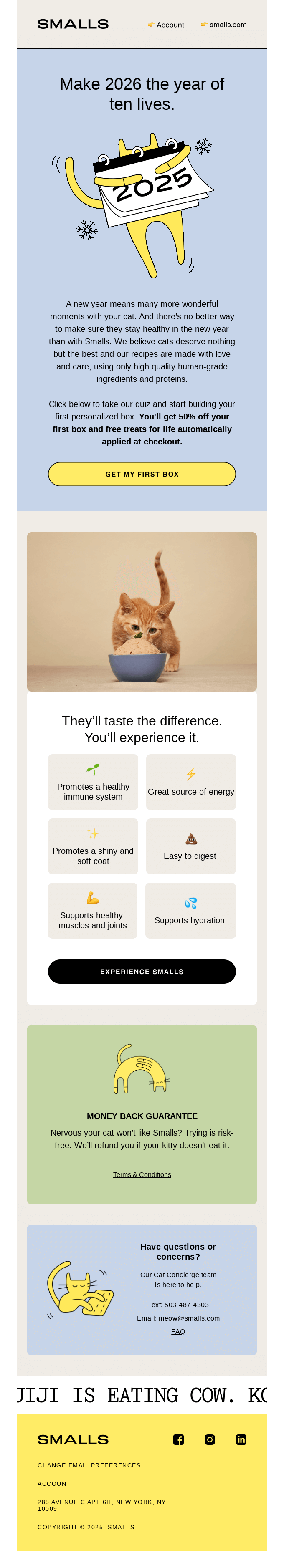 Make 2026 your cat’s healthiest year ever.