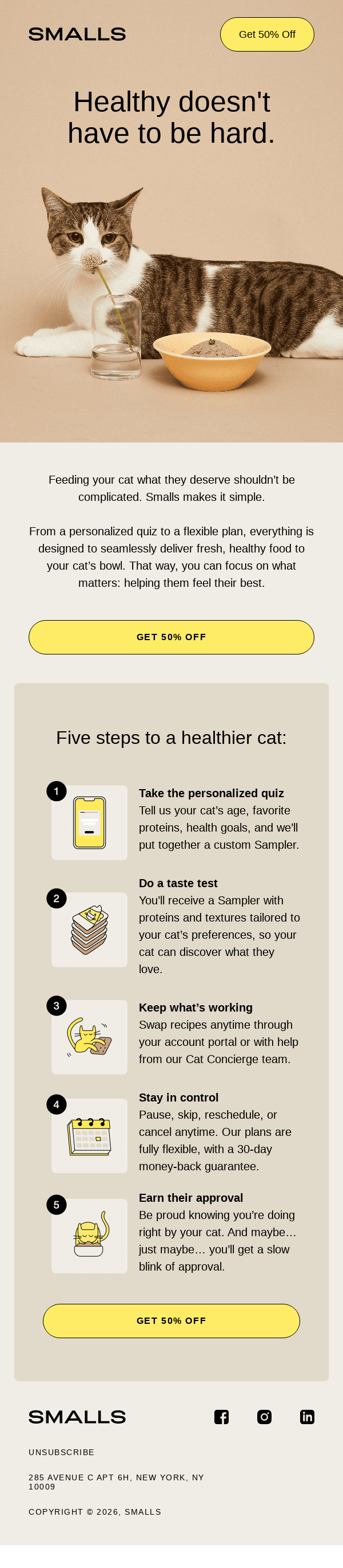 5 steps to a healthier cat