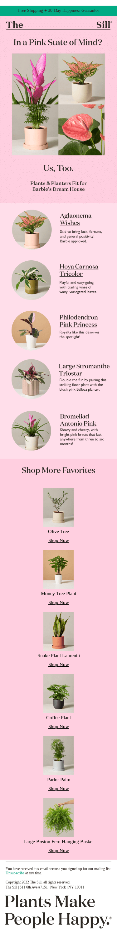 💖 Barbie-Approved Pink Plants & Planters