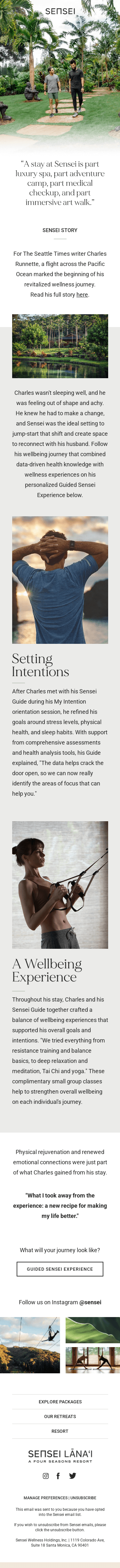 Discover Your Personal Equilibrium at Sensei