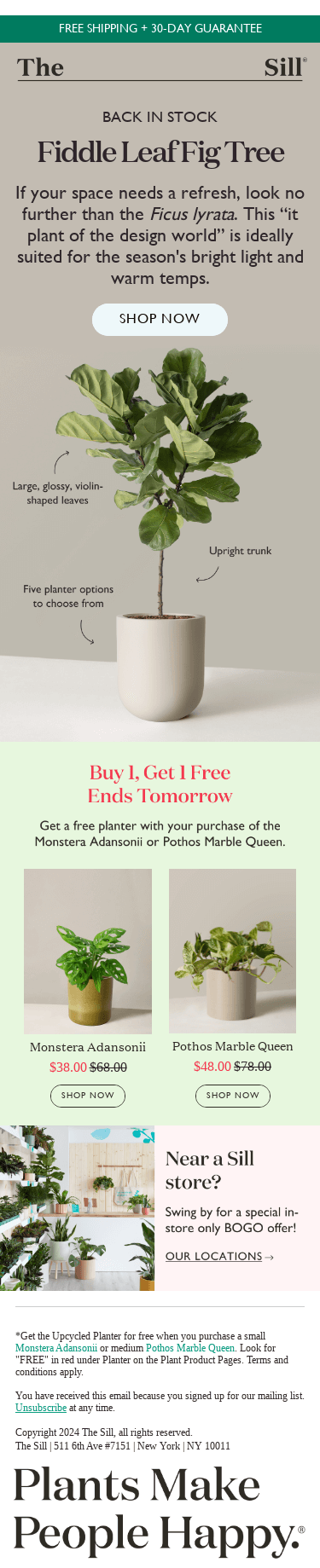 Guess Who's Back? (Hint: 🎻)