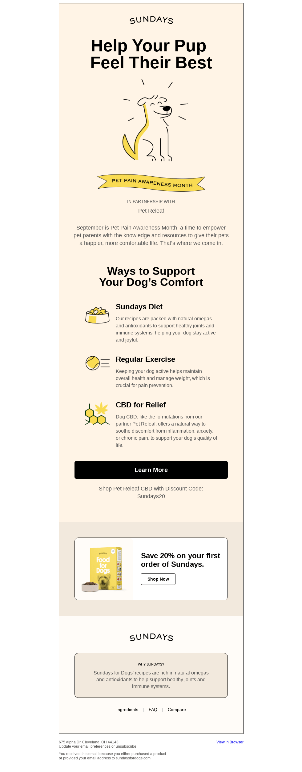 Is CBD for dogs worth the hype?