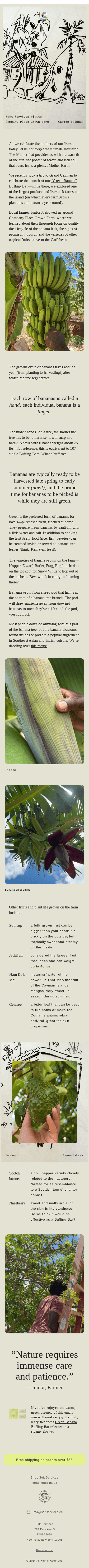 Junior J shows us where Green Bananas come from.