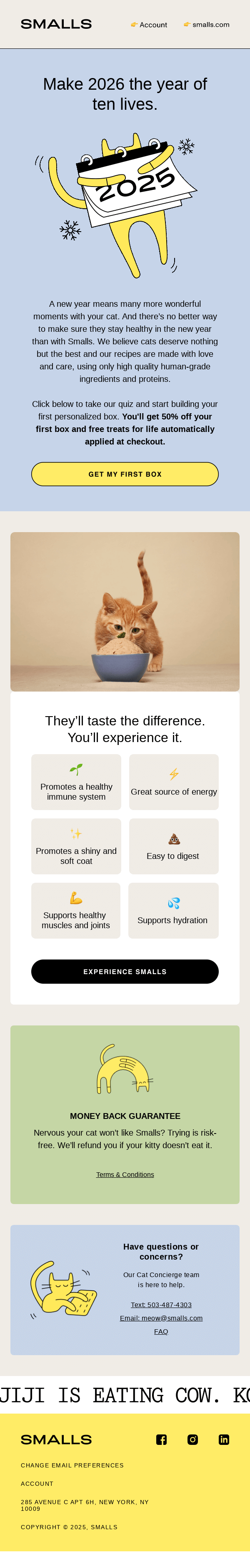 Make 2026 your cat’s healthiest year ever.