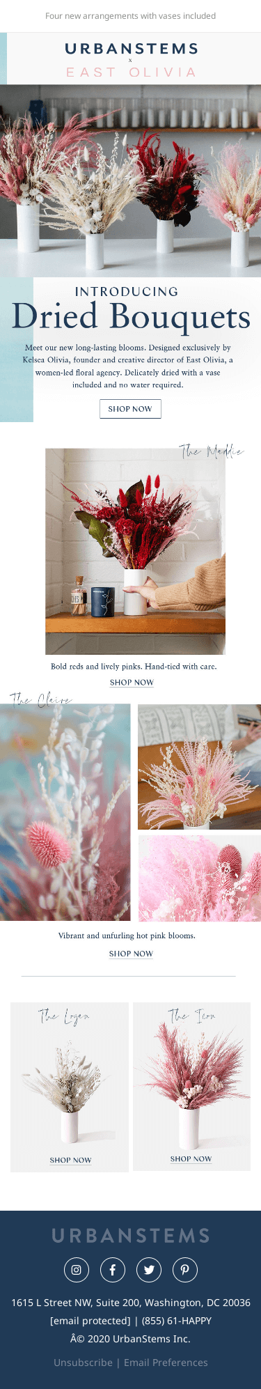 New dried bouquets by East Olivia