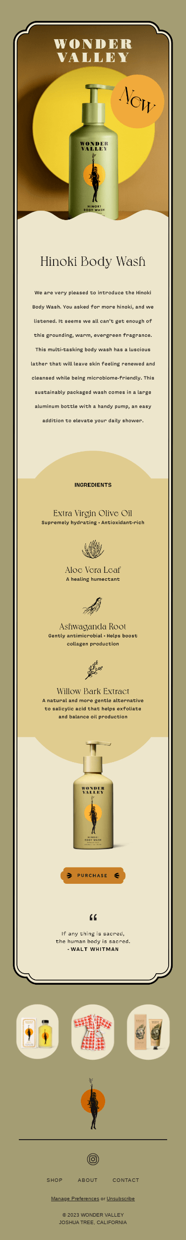 NEW! Hinoki Body Wash  🧼💧🌲