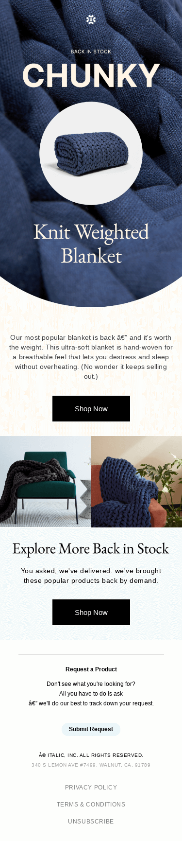 Our favorite blanket is back in stock