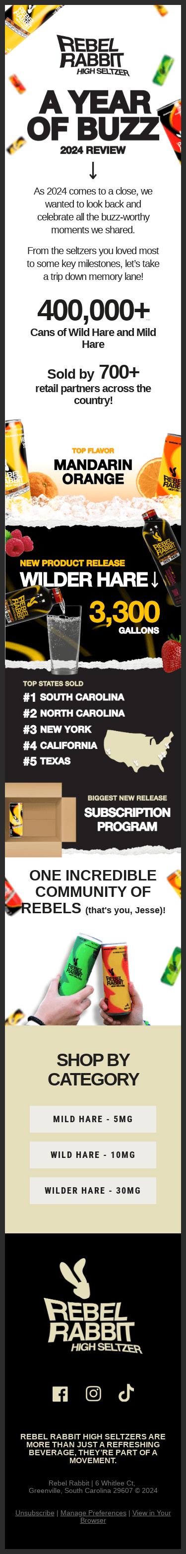 🐇 Rebel Rabbit Wrapped 2024