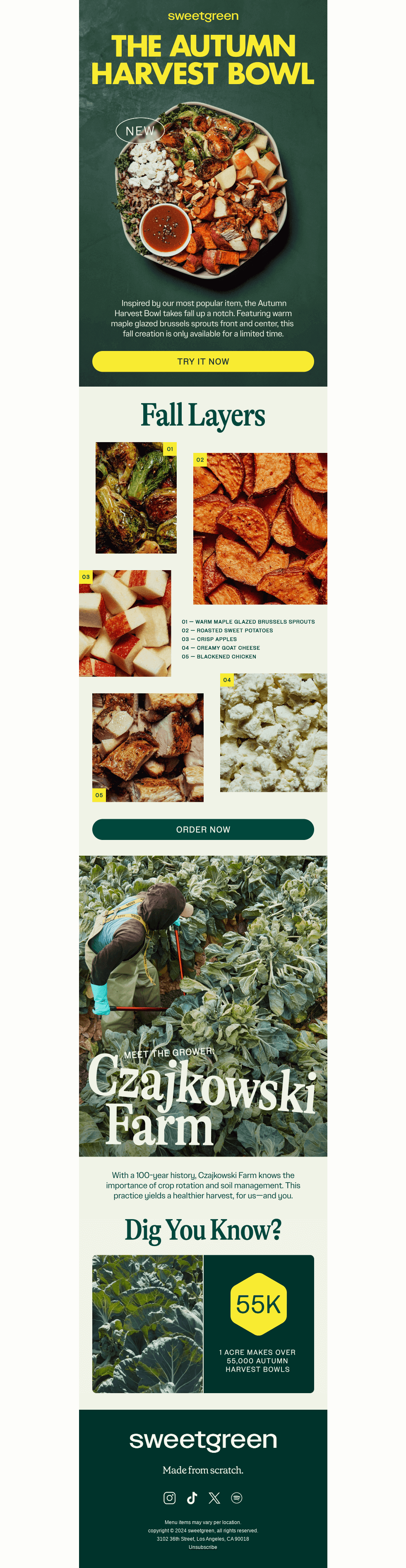 The Autumn Harvest Bowl