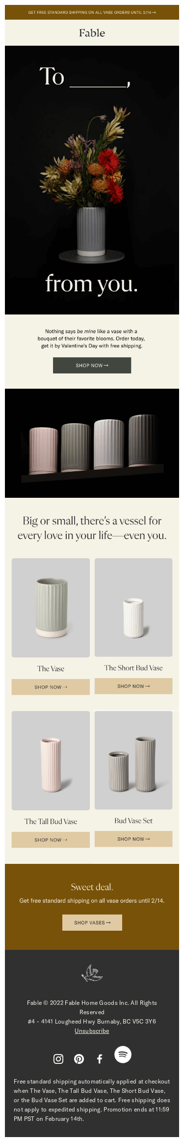 The Perfect V-Day Gift 💐