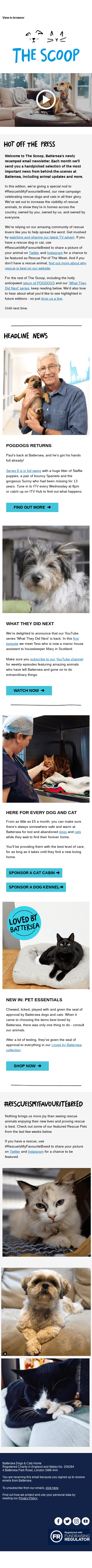 The Scoop: #RescueIsMyFavouriteBreed and POGDOGS