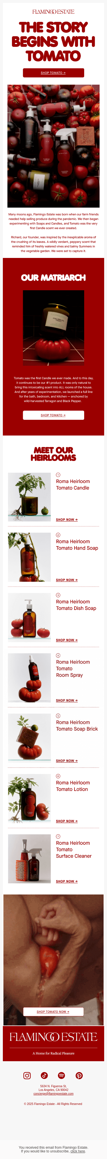 Tomato, Tomato, Tomato 🍅