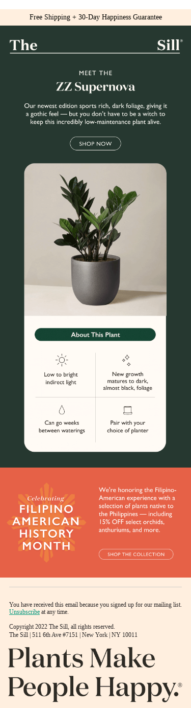 Unleash Witchy Magic with Our Newest Plant! 🔮