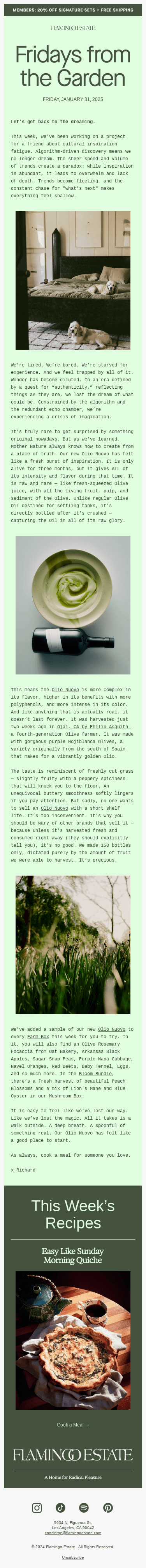 Where Did Our Inspiration Go?