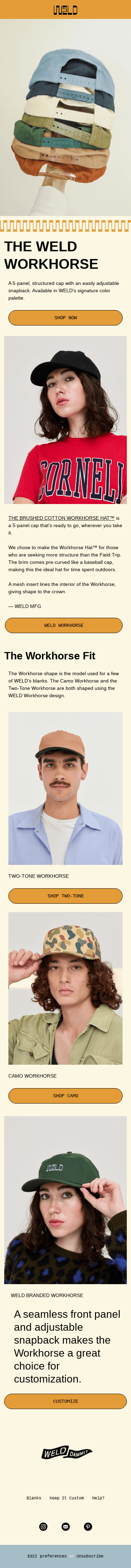 Year of the Workhorse