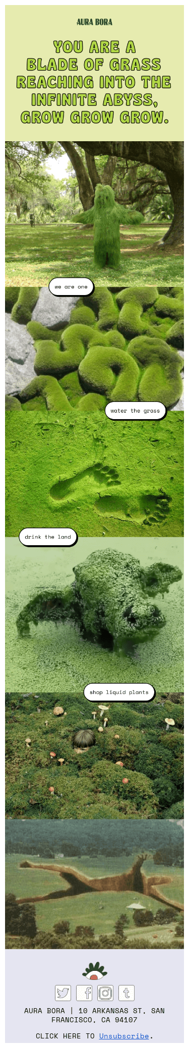 you are a blade of grass