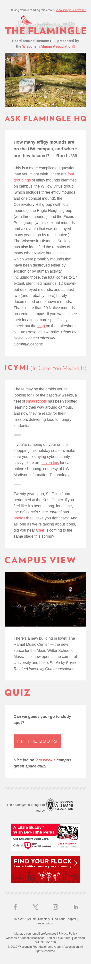 Your Friday Flamingle