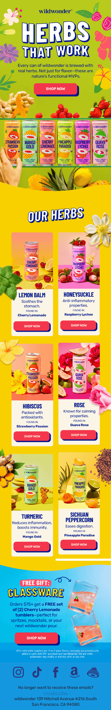 Your Herbs, Explained 🌿😉