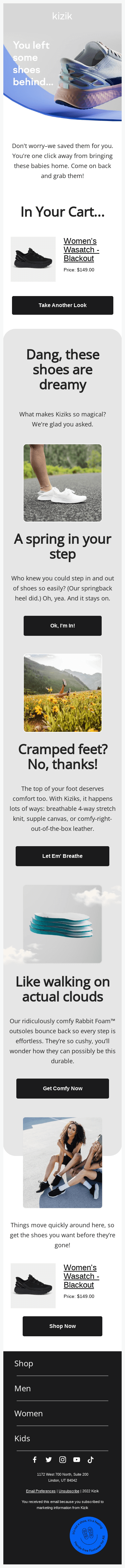 Your Kiziks Are Lonely 😢