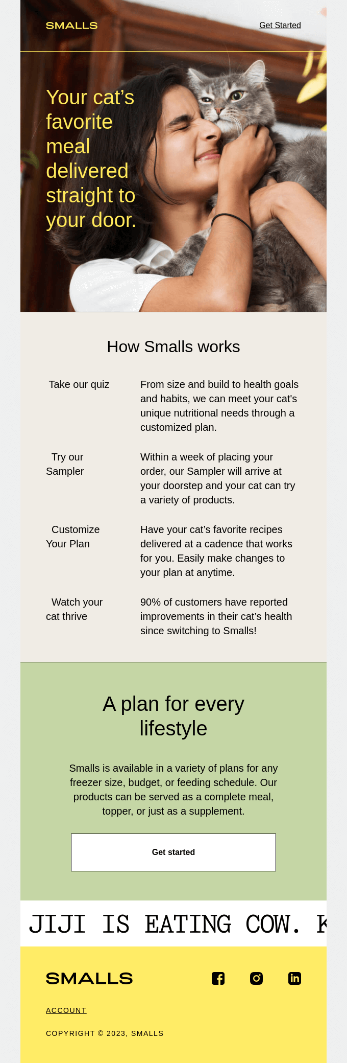 Nutrition for Cats 🤝 Convenience for You