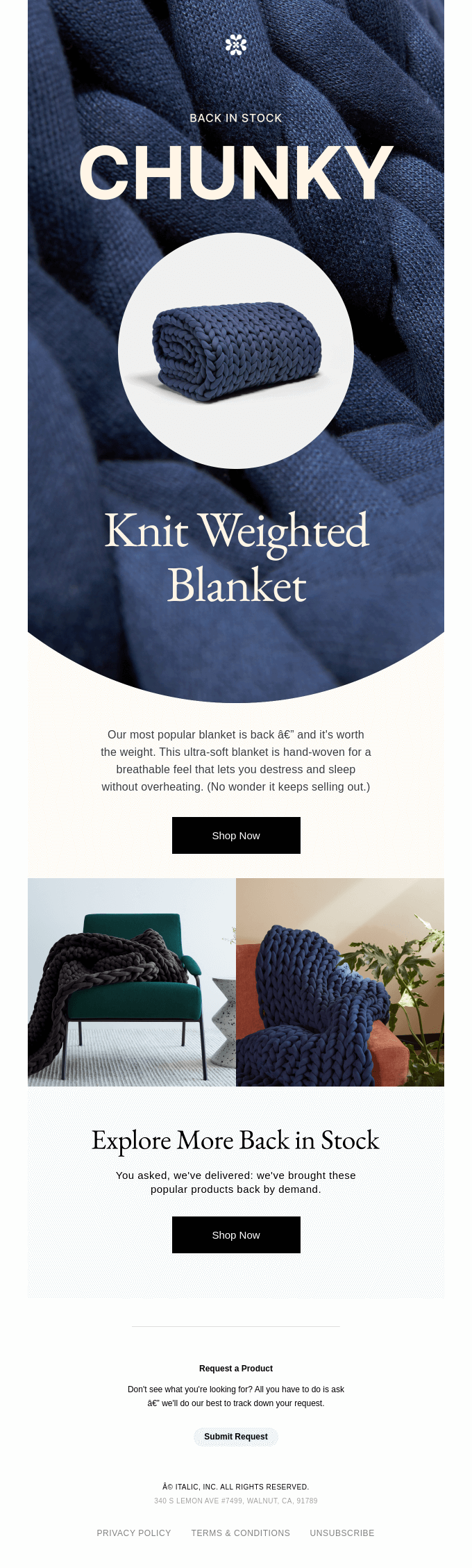 Our favorite blanket is back in stock