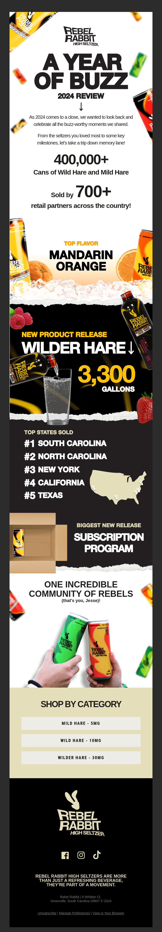 🐇 Rebel Rabbit Wrapped 2024