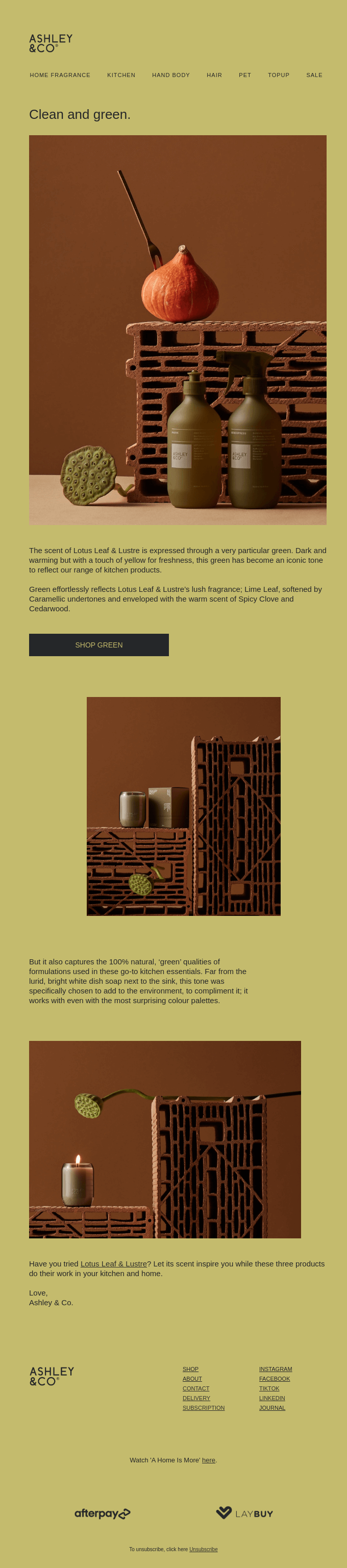 The colour of Lotus Leaf & Lustre