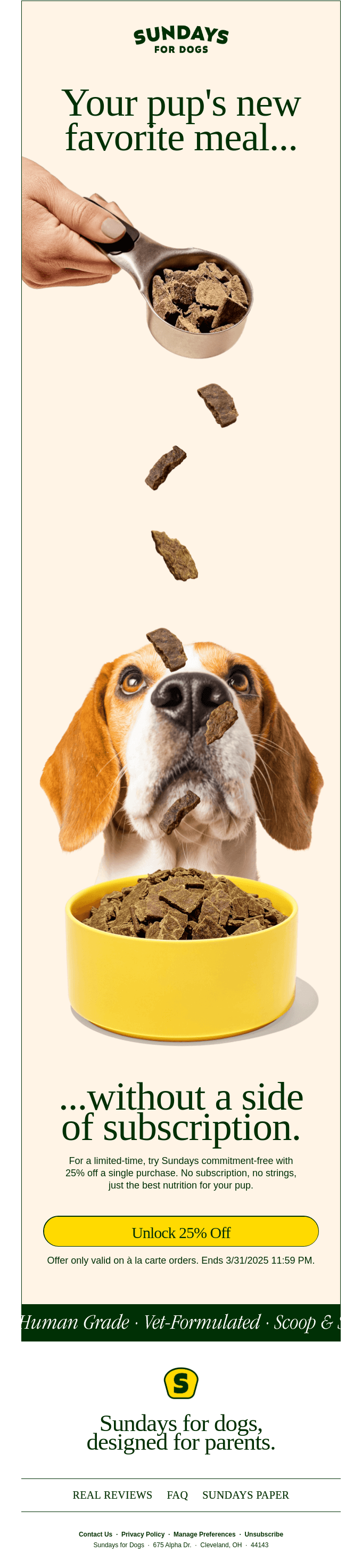 Try Sundays for 25% off, subscription-free.