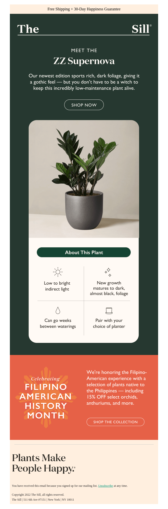 Unleash Witchy Magic with Our Newest Plant! 🔮