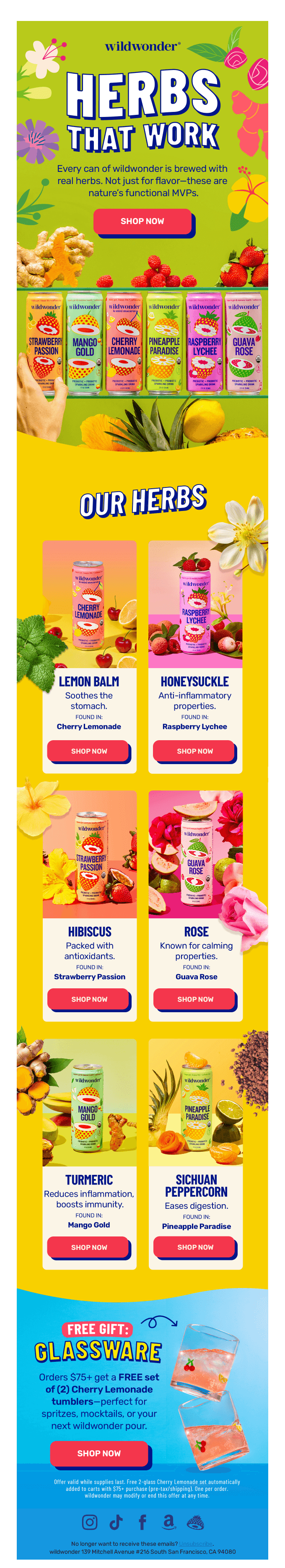 Your Herbs, Explained 🌿😉